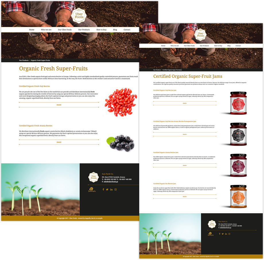 Uber Foods, responsive σχεδιασμός κατασκευή ιστοσελίδας, website responsive design development